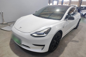 特斯拉 Model 3 2020款 标准续航后驱升级版