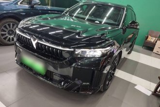 岚图汽车 岚图FREE 2025款 318 318km 后驱环游版