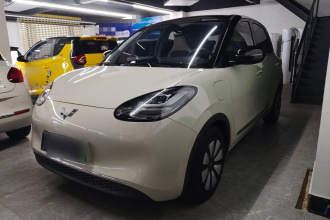 五菱汽车 五菱缤果 2023款 333km 悦享+款