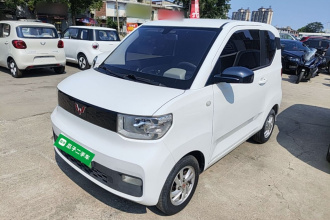 五菱汽车 宏光MINIEV 2020款 自在款 磷酸铁锂