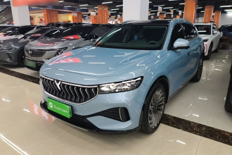 岚图汽车 岚图FREE 2021款 两驱标准纯电城市版