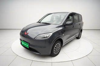 五菱汽车 五菱宏光新能源 2024款 纯电版 300KM 标准型