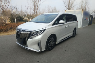 广汽传祺 传祺M8 2021款 大师系列 390T 尊贵版