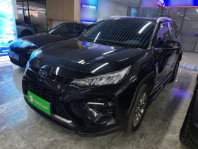 丰田 威兰达 2020款 双擎 2.5L E-CVT两驱豪华版