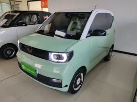 五菱汽车 宏光MINIEV 2021款 马卡龙臻享款 磷酸铁锂