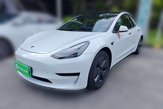 特斯拉 Model 3 2021款 标准续航后驱升级版 3D6
