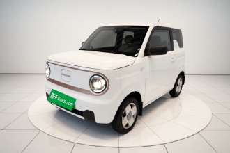 吉利银河 2024款 熊猫mini 200km 龙腾PRO版