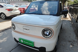 吉利银河 2023款 熊猫mini 200km 耐力熊