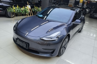 特斯拉 Model 3 2020款 改款 标准续航后驱升级版