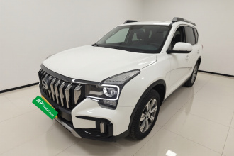 广汽传祺 传祺GS8 2020款 GS8S 390T 两驱豪华版