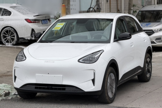 吉利银河 星愿 2026款 310km 梦想版