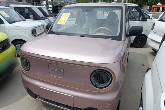 吉利银河 2024款 熊猫mini 200km 耐力熊
