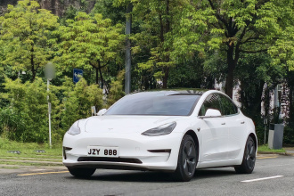 特斯拉 Model 3 2020款 改款 长续航后轮驱动版