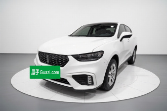 魏牌 VV5 2020款 1.5T 两驱颜先锋