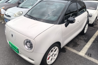 欧拉黑猫 2021款 351km 标准型