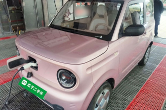 吉利银河 2023款 熊猫mini 200km 耐力熊