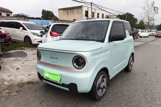吉利银河 2023款 熊猫mini 200km 灵动熊