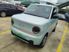 吉利银河 2024款 熊猫mini 200km 耐力熊