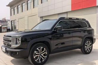 哈弗大狗 2024款 1.5T DCT边牧版