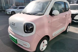 奔腾小马 2024款 170km 元气马