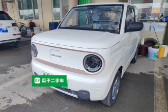 吉利银河 2023款 熊猫mini 120km 超萌熊