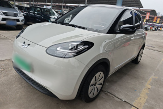 五菱汽车 五菱缤果 2024款 203km 轻享款