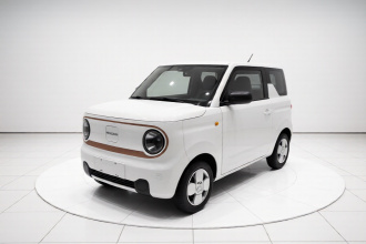 吉利银河 2024款 熊猫mini 200km 龙腾版
