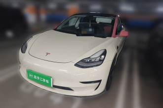 特斯拉 Model 3 2019款 标准续航后驱升级版