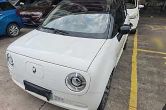 欧拉黑猫 2021款 301km 基础型