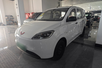 五菱汽车 五菱宏光新能源 2024款 纯电版 300KM 实用型