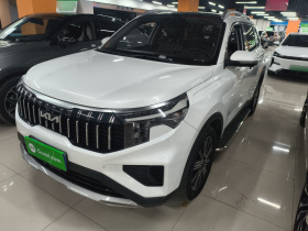 起亚 智跑 2021款 Ace 2.0L 精彩版