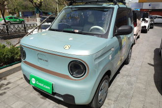 吉利银河 2024款 熊猫mini 200km 耐力熊