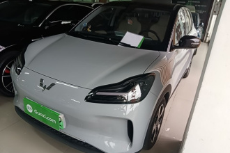 五菱汽车 五菱缤果PLUS 2024款 401km 五座版