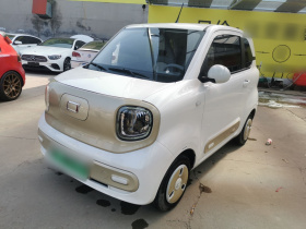 奔腾小马 2024款 170km 活力马