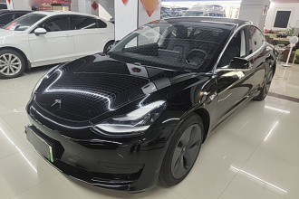 特斯拉 Model 3 2020款 标准续航后驱升级版