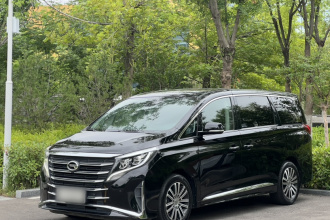 广汽传祺 传祺M8 2021款 领秀系列 390T 尊贵版