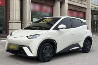 比亚迪 海鸥 2025款 305km 活力版