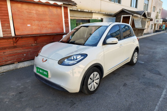 五菱汽车 五菱缤果 2023款 203km 轻享款
