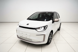 思皓 花仙子 2021款 302km 时尚型 31.4kWh