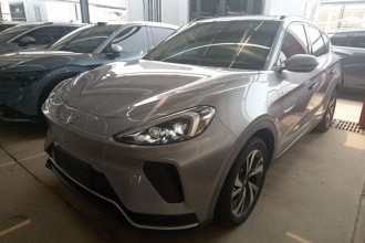 ARCFOX极狐 极狐 阿尔法T 2022款 480S 160kW