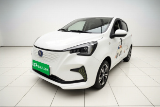 长安 奔奔E-Star 2020款 心动版 三元锂