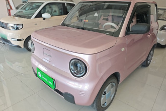 吉利银河 2023款 熊猫mini 200km 耐力熊