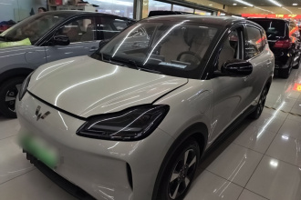 五菱汽车 五菱缤果PLUS 2024款 401km 五座版