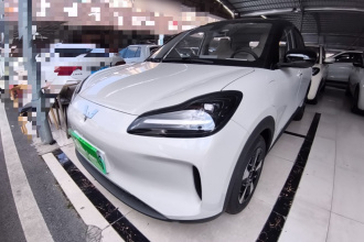 五菱汽车 五菱缤果PLUS 2024款 401km 五座版
