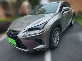 雷克萨斯NX 2018款 300 前驱 锋行版
