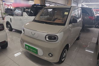 五菱汽车 宏光MINIEV 2024款 第三代 215km 青春版