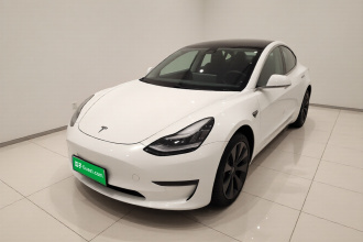 特斯拉 Model 3(进口) 2019款 长续航后驱版