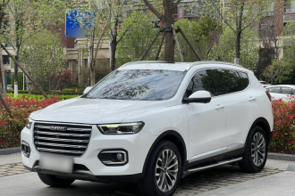 哈弗H6 2020款 2.0GDIT 自动铂金冠军版