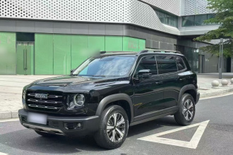 哈弗大狗 2022款 1.5T DCT两驱拉布拉多版
