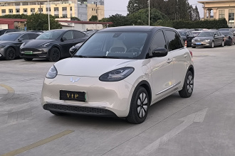 五菱汽车 五菱缤果 2023款 333km 灵犀互联+款